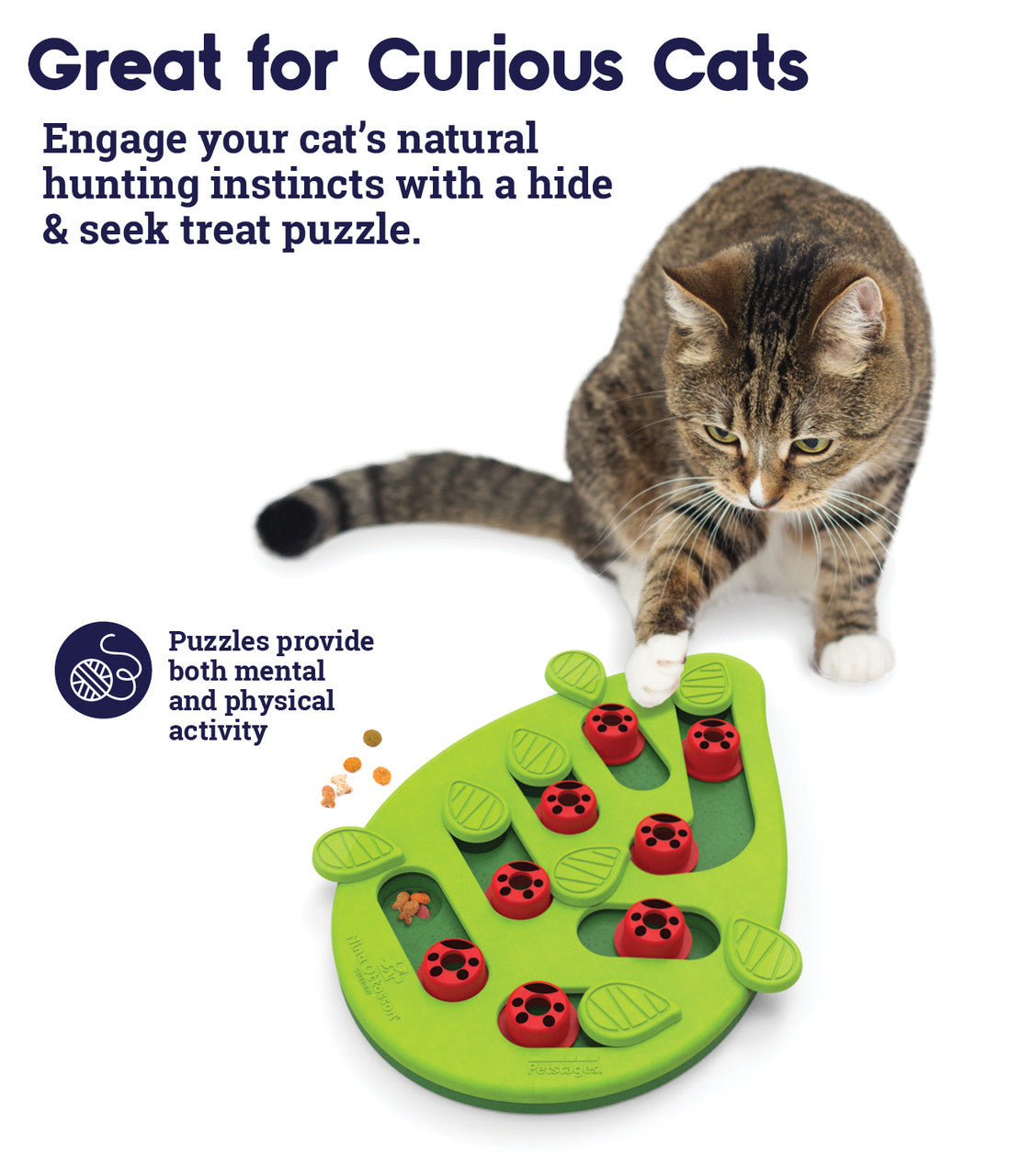 Nina Ottosson Cat Puzzle & Play Cat Treat Puzzle - Buggin' Out