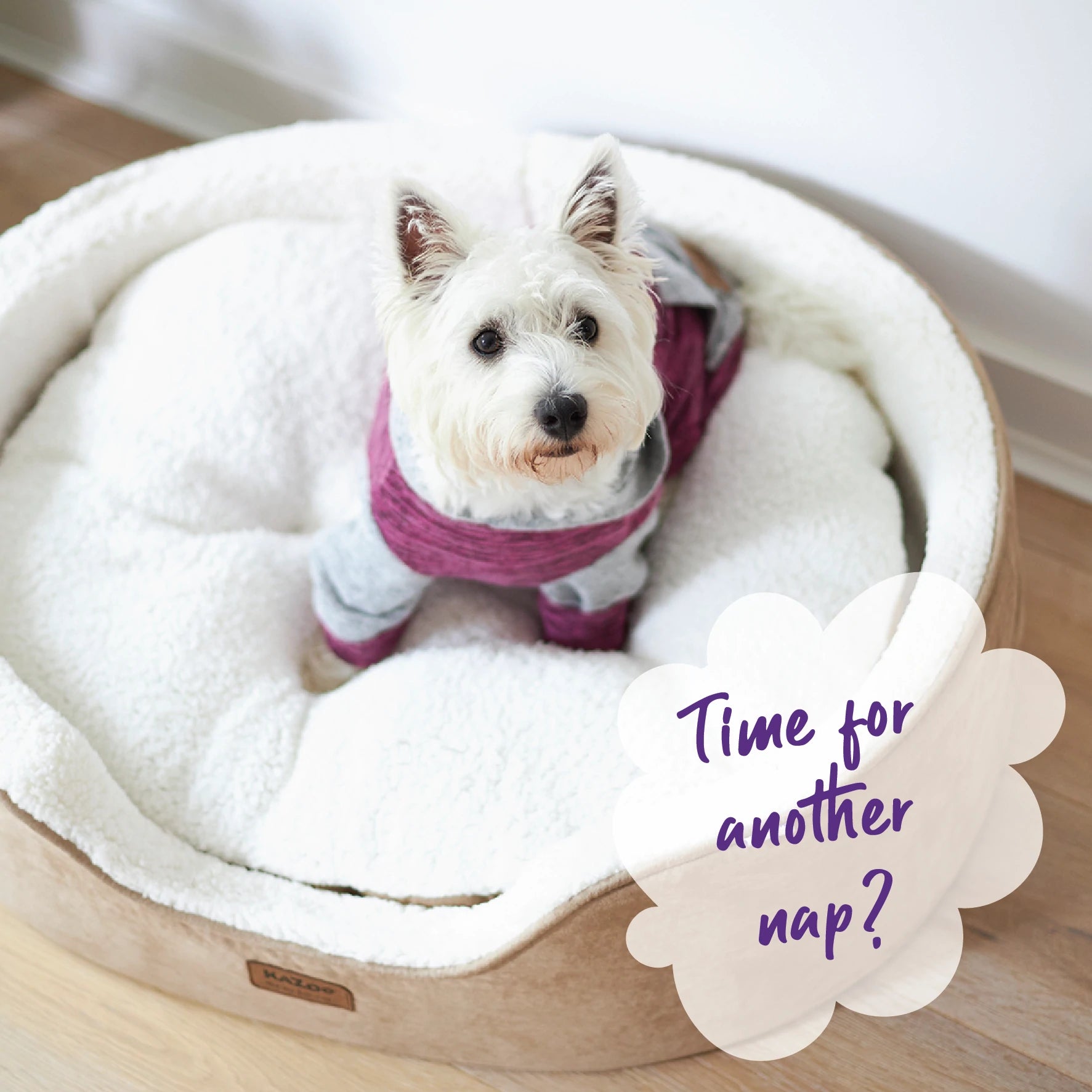 Kazoo Dog Sleepwear Softie - Mulberry
