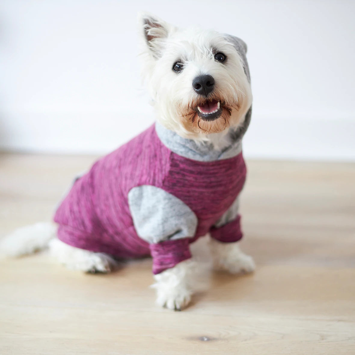 Kazoo Dog Sleepwear Softie - Mulberry