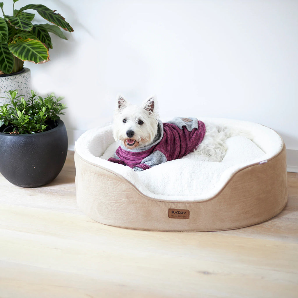 Kazoo Dog Sleepwear Softie - Mulberry