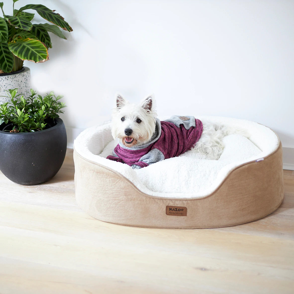 Kazoo Dog Sleepwear Softie - Mulberry
