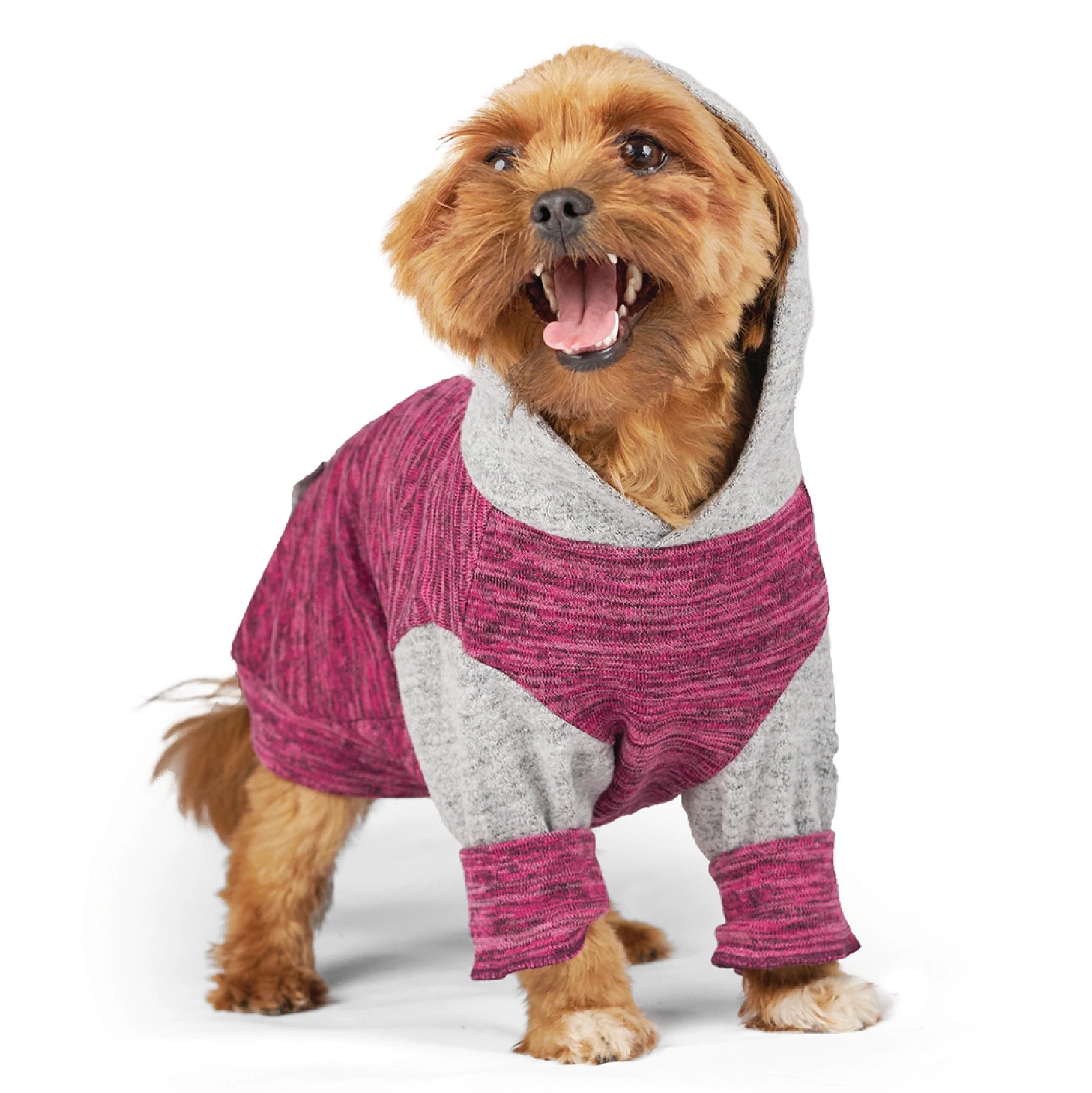Kazoo Dog Sleepwear Softie - Mulberry