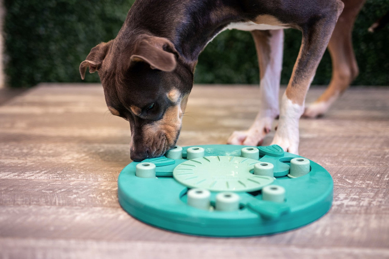 Nina Ottosson Dog Worker Interactive Treat Puzzle Dog Toy