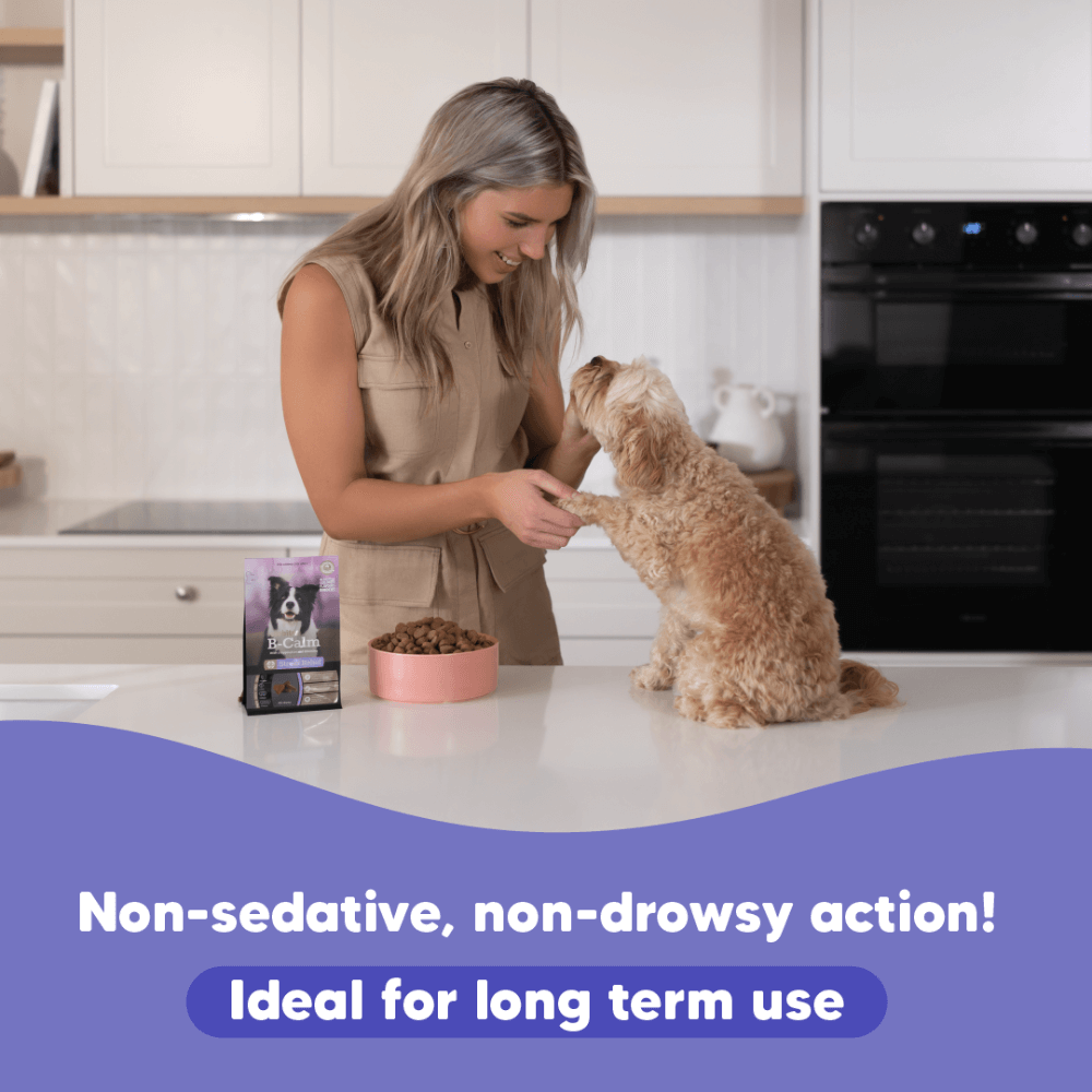 Vetafarm Lovebites B-Calm Chews For Dogs