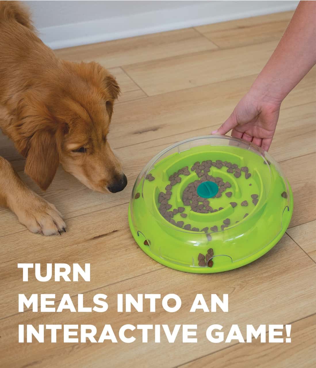 Outward Hound Wobble Bowl Feeder & Interactive Treat Puzzle Dog Toy