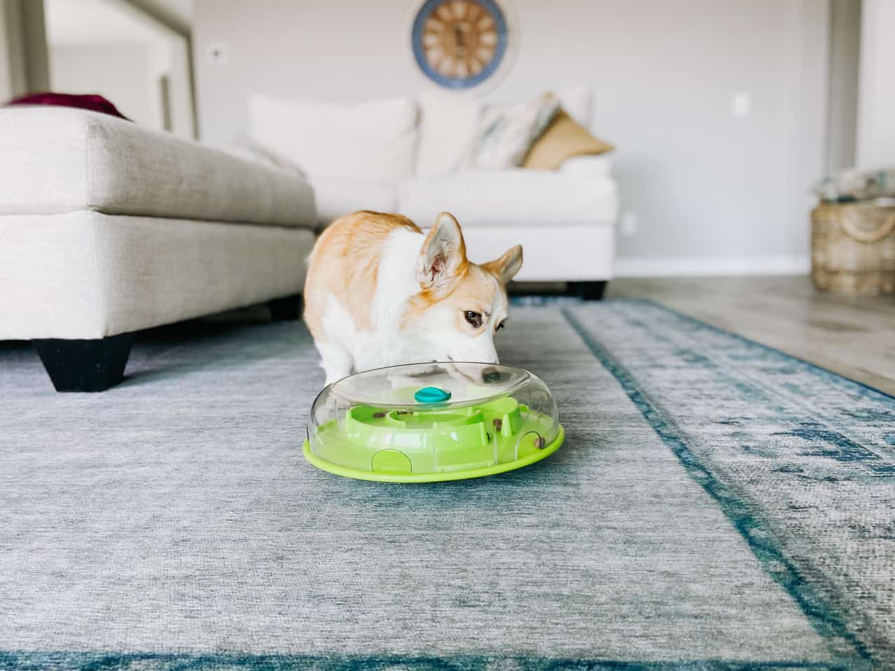 Outward Hound Wobble Bowl Feeder & Interactive Treat Puzzle Dog Toy