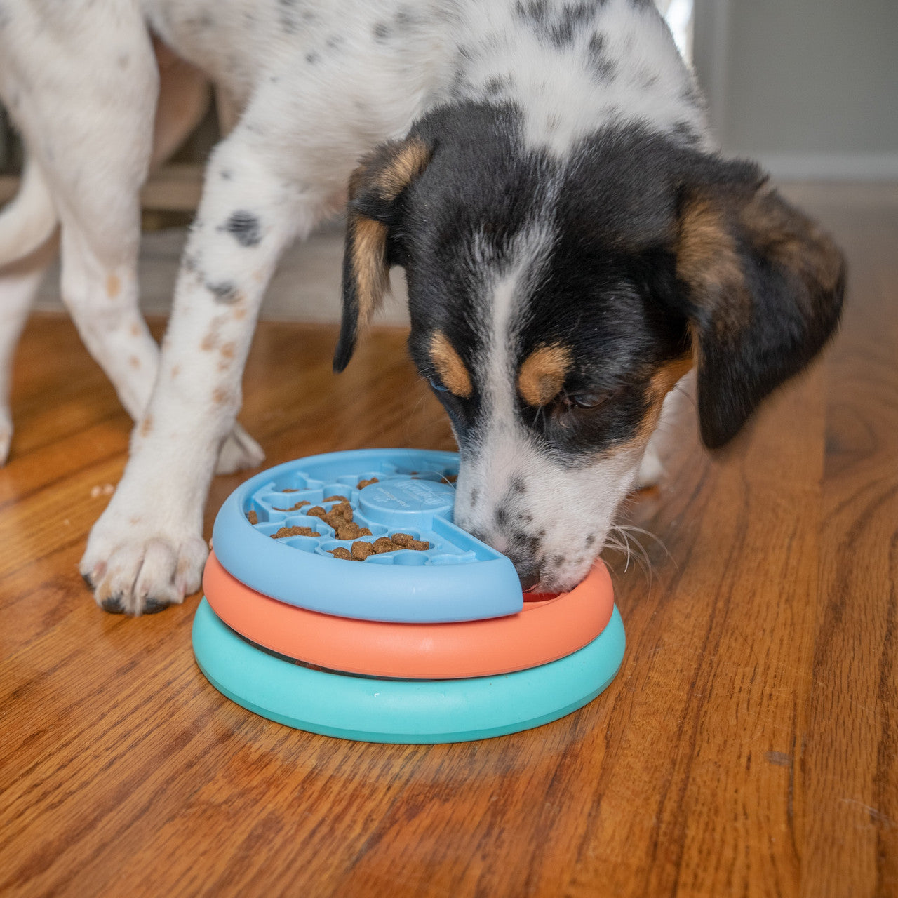 Nina Ottosson Puppy Lickin' Layers Dog Fun Feeder Treat Puzzle