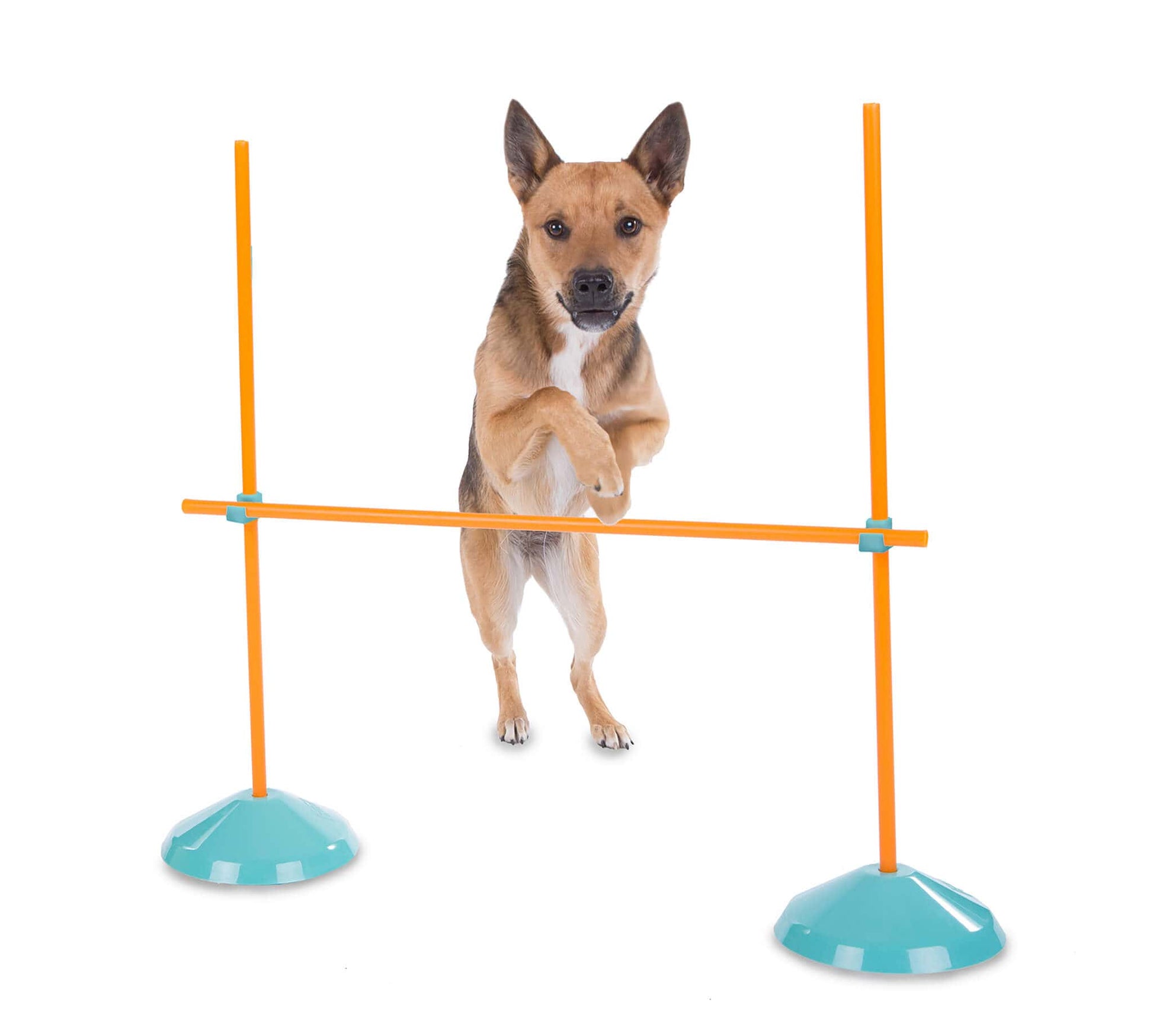 Outward Hound ZipZoom Agility Kit Indoor