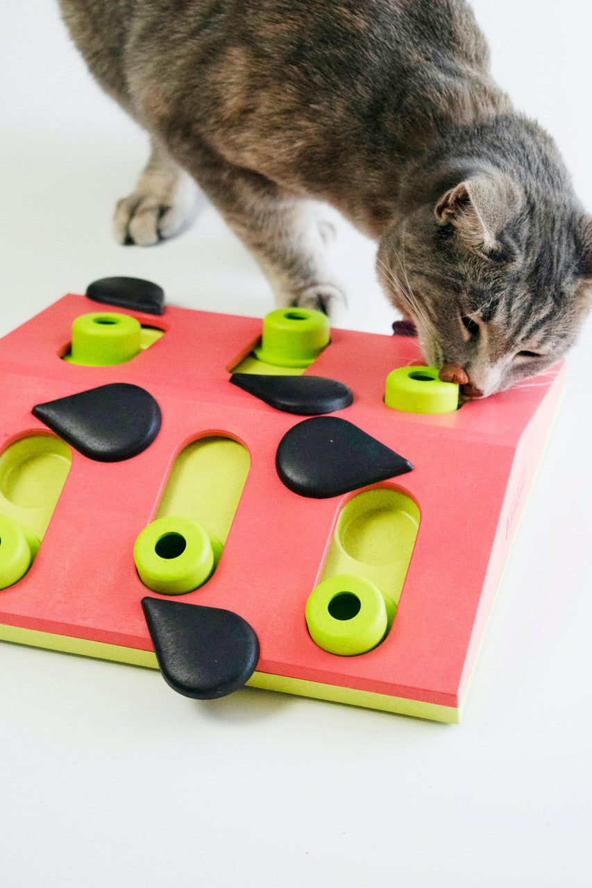Nina Ottosson Cat Puzzle & Play Cat Treat Puzzle - Melon Madness