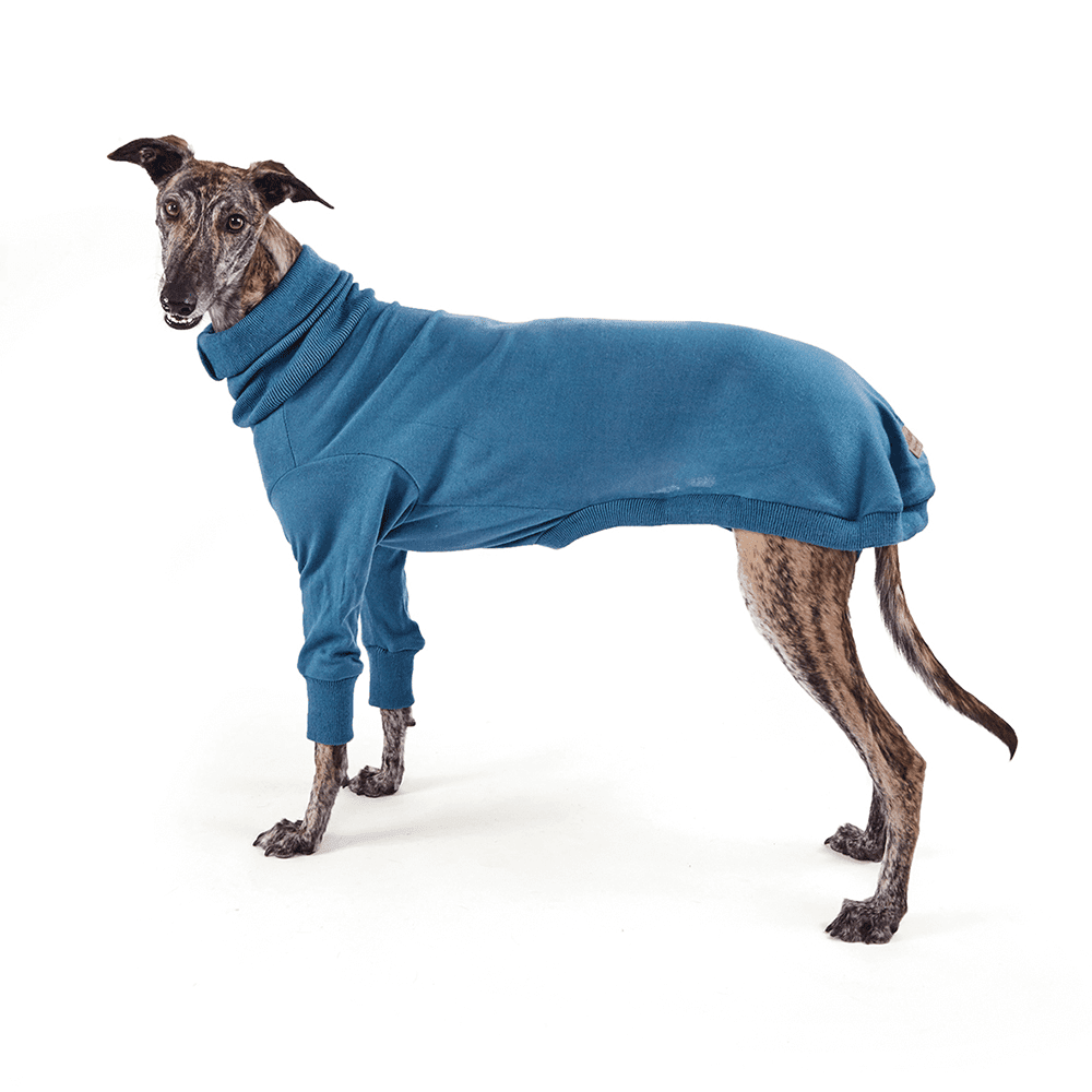 Kazoo Greyhound Dog Jumper-Bondi - PetNest